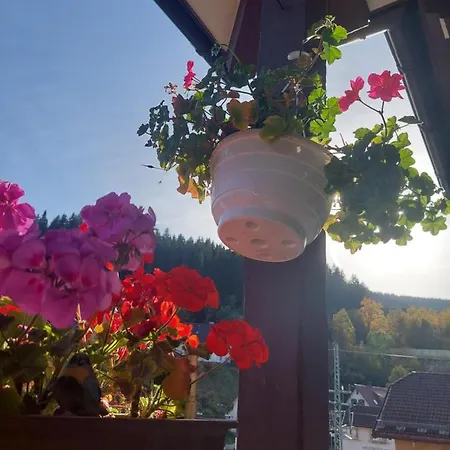 Apartmán Schwarzwald Titisee-Neustadt