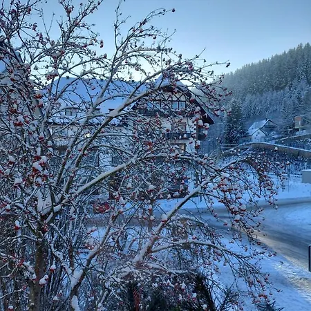 Ferienwohnung Schwarzwald Titisee-Neustadt